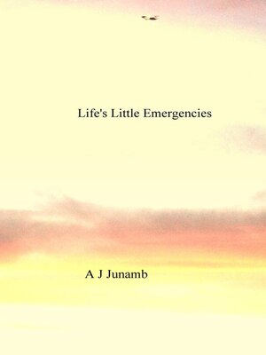 cover image of Life's Little Emergencies